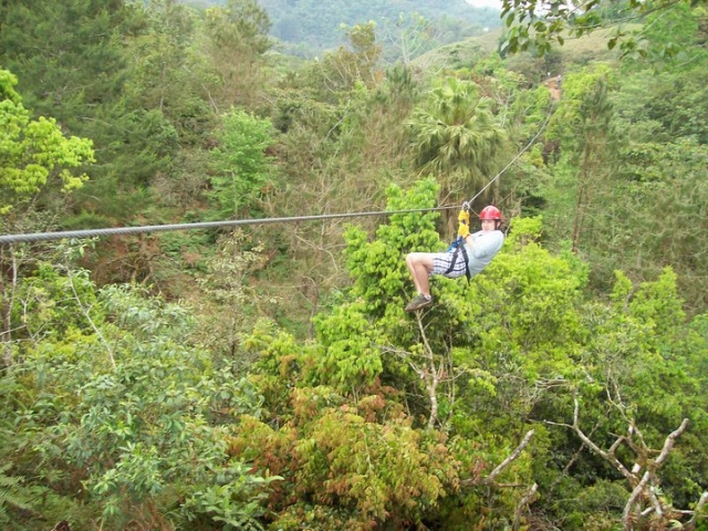 vuela en el bosque